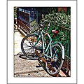 T14017050 Bicycle Seat Post