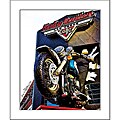 Anne H. Timpson 'Freedom' Cotton Rag Print Art