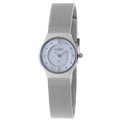 Skagen Women's Steel and Mother-of-Pearl Watch