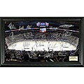 Highland Mint St. Louis Blues Rink Team Autographed Framed Photo