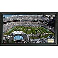 Highland Mint Carolina Panthers Signature Gridiron Collection Framed Photo