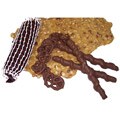 Lang's Chocolates Milk Chocolate Pretzels and Beer Game Day Package