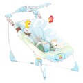 Fisher-Price Soothe & Go Bouncy Seat