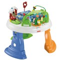 Fisher-Price Twirlin' Whirlin' Entertainer