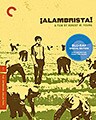 Alambrista! - Criterion Collection (Blu-ray)
