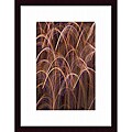 Joe Gemignani 'Bent Weeds 2' Framed Art Print