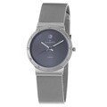 Skagen Men's Titanium Mesh Watch
