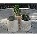 Set of 3 Alabaster Planting Pots (Egypt)