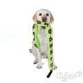 Kyjen Company Invincibles Squeak Snake and Gecko Dog Toys (Set of 2)