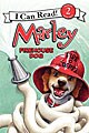 Marley (Paperback)