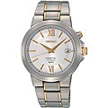 Seiko Men's Kinetic Two-tone Titanium Watch