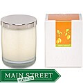 La Luz Citron Lotion Candle