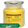 Amante Aromatherapy Aged Patchouli Ylang Ylang Candle