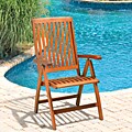 Christopher Knight Home Winslow Deluxe Eucalyptus Wood Outdoor Chair