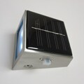 Solar Wedge 2-light Stainless Steel and Frosted Glass Wedge Light