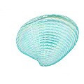 Arda Clam Pearl/ Blue Gilded Canape Plates (Set of 4)