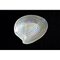 Arda Clam White/ Blue Gilded Salad Plates (Set of 4)