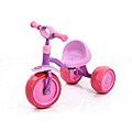 Traxx Multi Purple 1st Try Learning Trike