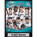 2011 Florida Marlins 9 x 12 Stat Plaque