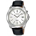 Seiko Men's Stainless Steel Watch