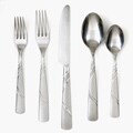Cambridge Silversmiths Emma Frost 45-piece Flatware Set