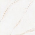SomerTile 19.75x19.75-in Calcutta White Porcelain Floor and Wall Tiles (Case of 4)