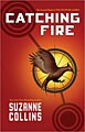 Catching Fire (Large Print,Paperback)