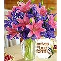 Spring Spectacular Pink Lilies and Blue Iris Bouquet with Ginger Vase