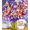 Birthday Spectacular Iris and Lilly Bouquet with Vase