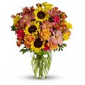 Teleflora Summer Fields Hand-arranged Flower Bouquet