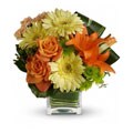 Teleflora Citrus Crush Hand-arranged Flower Bouquet