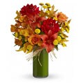Telelfora Harmony of Light Hand-arranged Flower Bouquet