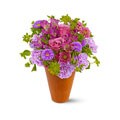 Teleflora French Garden Hand-arranged Flower Bouquet