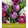 Grower's Choice with Ginger Vase