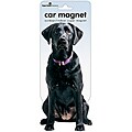 Paper House Black Labrador Car Magnet