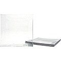 Clear Tempered Glass Dinner Plate/Charger Set