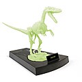 Jurassic Night Glow-in-the-dark Velociraptor Skeleton