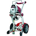 Titan XT290 Piston Airless Paint Sprayer (Refurbished)