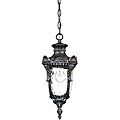 Dunmore 1-light Greystone Hanging Lantern