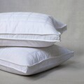 Extra Firm Goose Feather Standard-size Pillows (Set of 2)