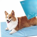 Cool Gel Mat for Pets