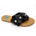 Blue Women's 'Florster' Black Thong Sandals