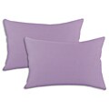 Duck Parasol Purple S-backed 12.5x19-inch Fiber Pillows (Set of 2)