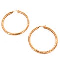 Highly-polished Rose Gold-plated Stainless Steel Hoop Earrings