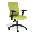 Fun Green Office Chair with Arms