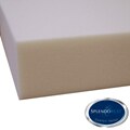 Splendorest 4-inch Memory Foam Mattress Topper