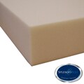 Splendorest 5-inch Memory Foam Mattress Topper