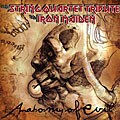 Various Artists - The String Quartet Tribute To Iron Maiden