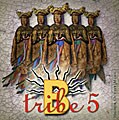 B-Tribe - 5 *