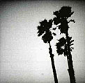 The Twilight Singers - Blackberry Belle